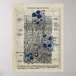 Anatomie der Haut Blaue Blüte Vintage Wörterbuchku Poster