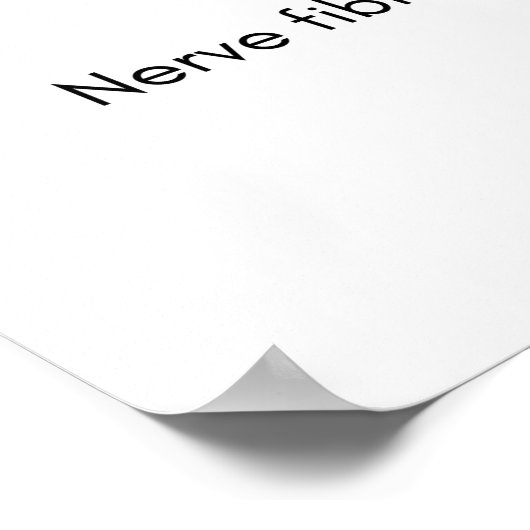 Anatomie der Haut Poster (Ecke)