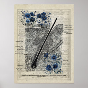 Anatomie der Haut Vintages Blumenwörterbuch Art de Poster
