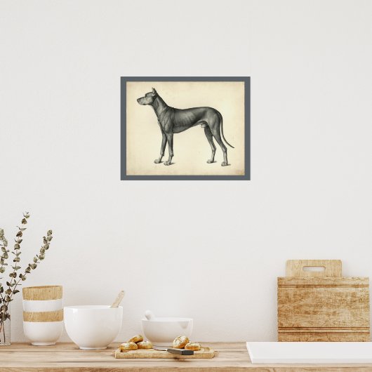 Anatomie der Hundefläche Poster (Küche)