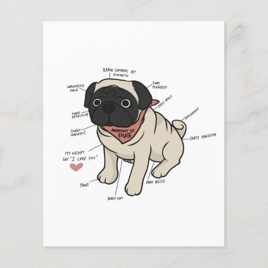Anatomie der Hundekarte des Mops Flyer (Vorne)