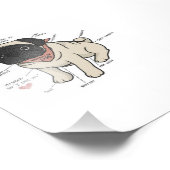 Anatomie der Hundekarte des Mops Fotodruck (Ecke)