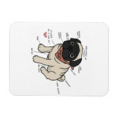 Anatomie der Hundekarte des Mops Magnet (Horizontal)