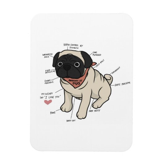 Anatomie der Hundekarte des Mops Magnet (Vertikal)