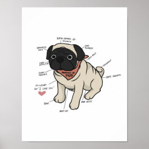 Anatomie der Hundekarte des Mops Poster