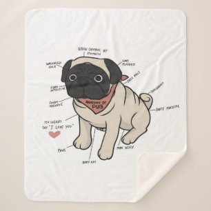 Anatomie der Hundekarte des Mops Sherpadecke