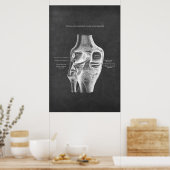 Anatomie der Knie-Posterior-Ansicht Poster (Küche)