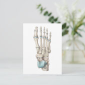 Anatomie der Knochen des Fußes Postkarte (Stehend Vorderseite)