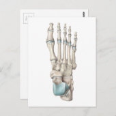 Anatomie der Knochen des Fußes Postkarte (Vorne/Hinten)