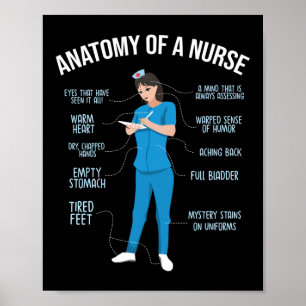 Anatomie der Krankenschwester Poster