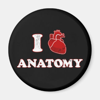 Anatomie der Liebe Magnet