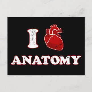 Anatomie der Liebe Postkarte
