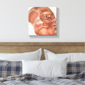 Anatomie der menschlichen Gesichtsmuskeln Leinwanddruck (Insitu (Schlafzimmer))