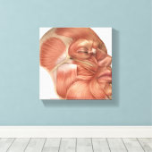 Anatomie der menschlichen Gesichtsmuskeln Leinwanddruck (Insitu (Holzboden))