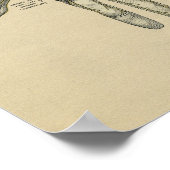 Anatomie der menschlichen Hand 1902 Vintag Poster (Ecke)