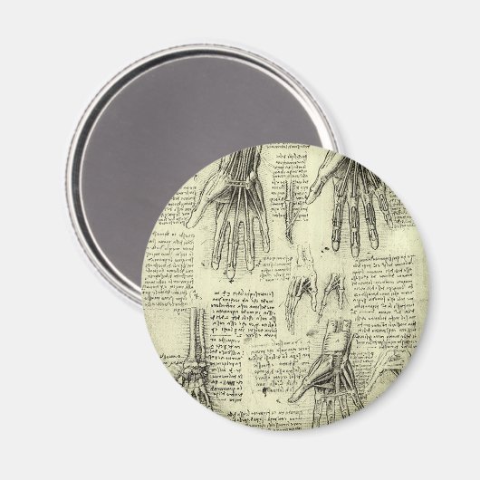 Anatomie der menschlichen Hand durch Leonardo da V Magnet (Vorderseite/Rückseite)
