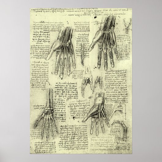 Anatomie der menschlichen Hand durch Leonardo da V Poster (Vorne)