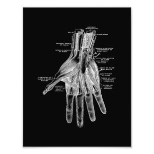 Anatomie der menschlichen Hand in Schwarzweiß Fotodruck