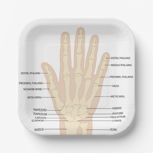 Anatomie der menschlichen Hand Pappteller (Vorderseite)