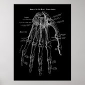 Anatomie der menschlichen Hand Poster (Vorne)