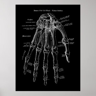 Anatomie der menschlichen Hand Poster