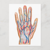 Anatomie der menschlichen Hand Postkarte (Vorderseite)