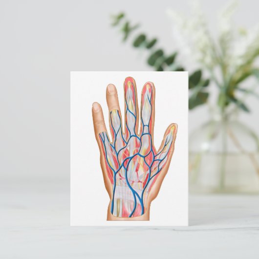 Anatomie der menschlichen Hand Postkarte (Stehend Vorderseite)