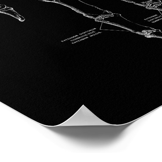 Anatomie der menschlichen Handknochen Alte medizin Poster (Ecke)