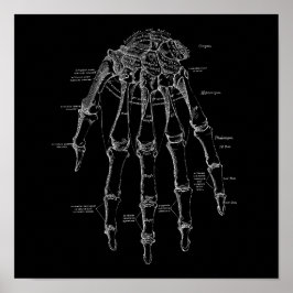 Anatomie der menschlichen Handknochen Alte medizin Poster