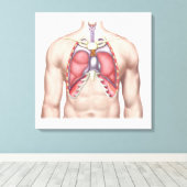 Anatomie der menschlichen Lunge in Situ Leinwanddruck (Insitu (Holzboden))