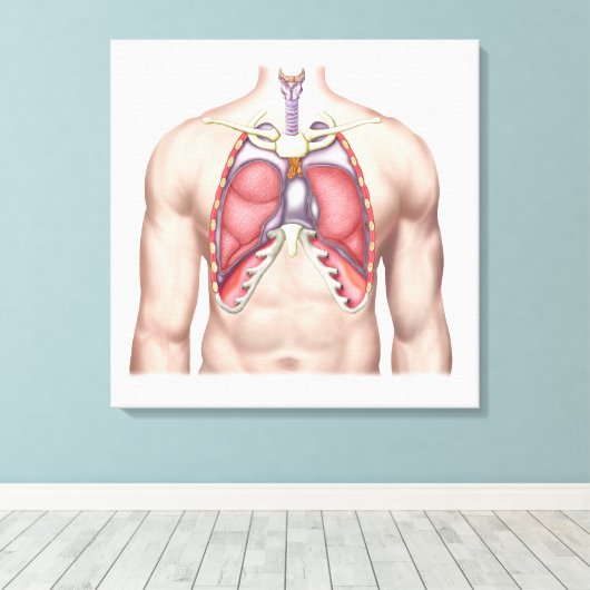 Anatomie der menschlichen Lunge in Situ Leinwanddruck (Insitu (Holzboden))