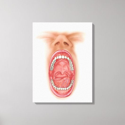 Anatomie der menschlichen Mundhöhle Leinwanddruck (Vorderseite)