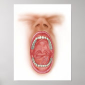 Anatomie der menschlichen Mundhöhle Poster (Vorne)