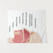 Anatomie der menschlichen Nase Wandteppich (Vorderseite (Horizontal))