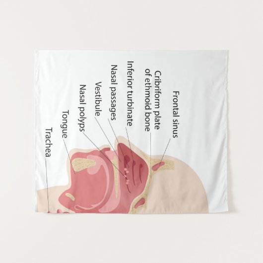 Anatomie der menschlichen Nase Wandteppich (Vorderseite (Horizontal))