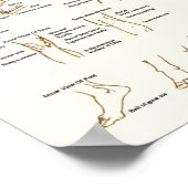 Anatomie der menschlichen Oberfläche für Künstlerd Poster (Ecke)