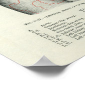 Anatomie der menschlichen Oberfläche in Bezug auf  Poster (Ecke)