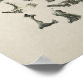 Anatomie der menschlichen Schädelknochen Vintag Poster (Ecke)