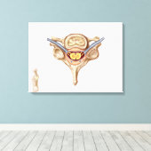 Anatomie der menschlichen Wirbelsäule Leinwanddruck (Insitu (Holzboden))