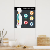 Anatomie der menschlichen Wirbelsäule Poster (Küche)