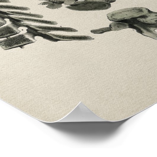 Anatomie der menschlichen Wirbelsäule Vintag Poster (Ecke)