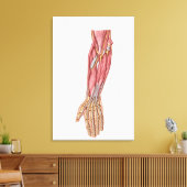 Anatomie der Muskeln der menschlichen Forellen 1 Leinwanddruck (Insitu (Wohnzimmer))