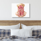 Anatomie der Muskeln des menschlichen Muskels und  Leinwanddruck (Insitu (Schlafzimmer))