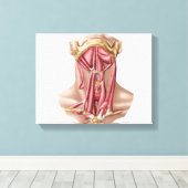 Anatomie der Muskeln des menschlichen Muskels und  Leinwanddruck (Insitu (Holzboden))