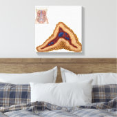 Anatomie der Nebennierenrinde, transversaler Absch Leinwanddruck (Insitu (Schlafzimmer))