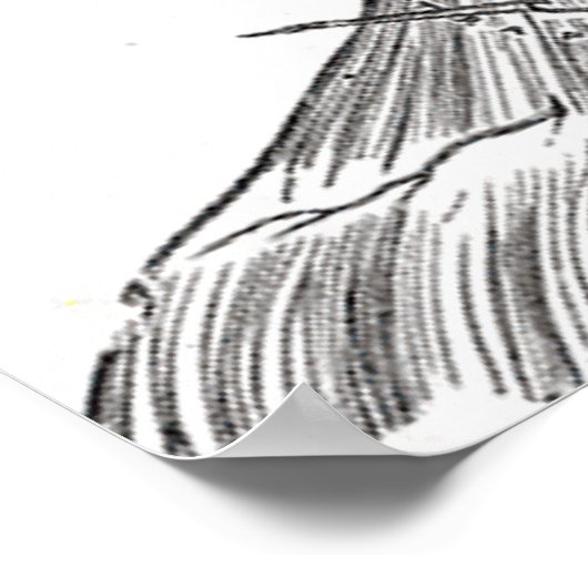 Anatomie der Neck Poster Print (Ecke)