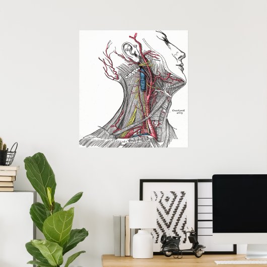 Anatomie der Neck Poster Print (Heimbüro)