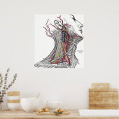 Anatomie der Neck Poster Print (Küche)