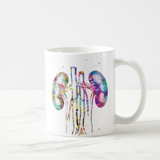 Anatomie der Nieren Kaffeetasse (Rechts)