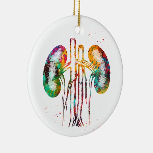 Anatomie der Nieren Keramik Ornament (Rechts)
